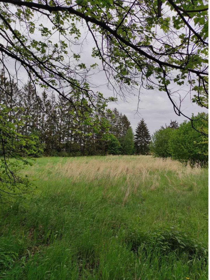 Działka budowlana Wałcz, ul. Bydgoska. Zdjęcie 7