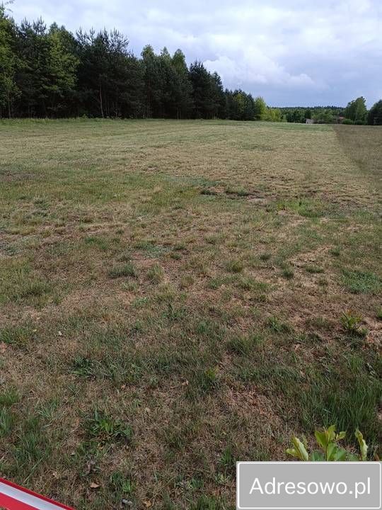 Działka budowlana Kaszewice-Kolonia
