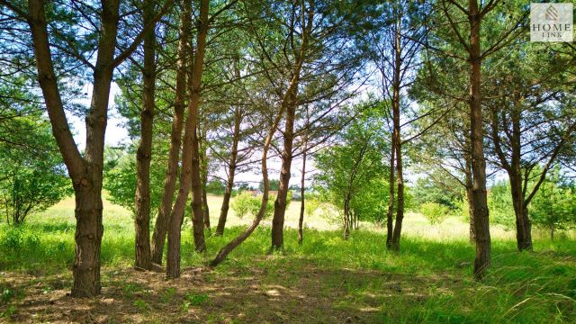 Działka budowlana Giedajty, ul. Sokola. Zdjęcie 21