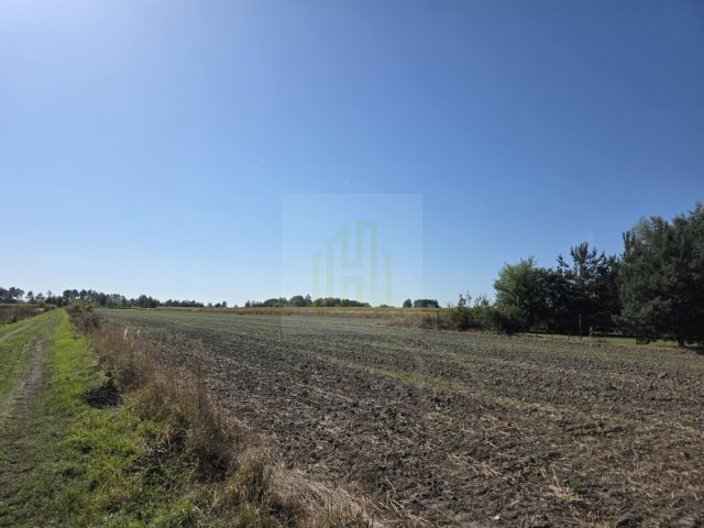 Działka budowlana Nowe Faszczyce. Zdjęcie 12