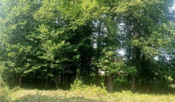 Działka siedliskowa Przystawy