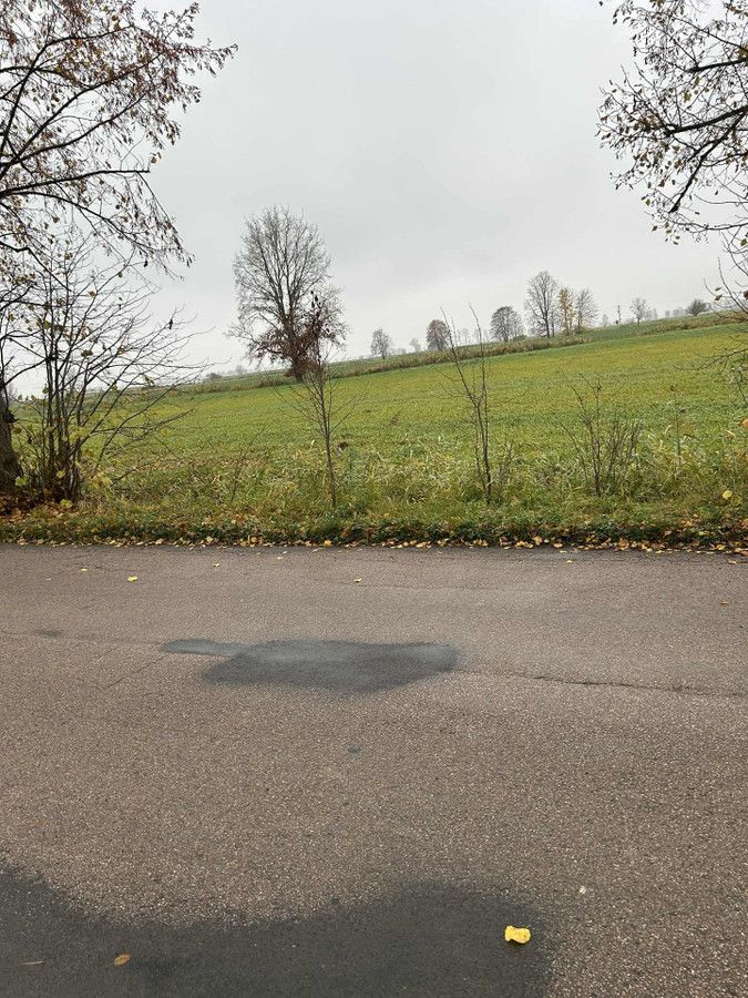 Działka rolno-budowlana Gronowo Elbląskie, ul. Elbląska. Zdjęcie 4