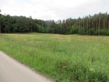 Działka rolno-budowlana Górzyska. Zdjęcie 2