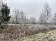 Działka budowlana Nowy Wilków. Zdjęcie 4