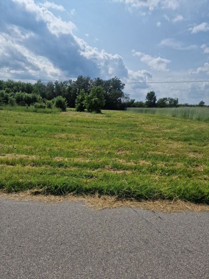 Działka Uleniec. Zdjęcie 2