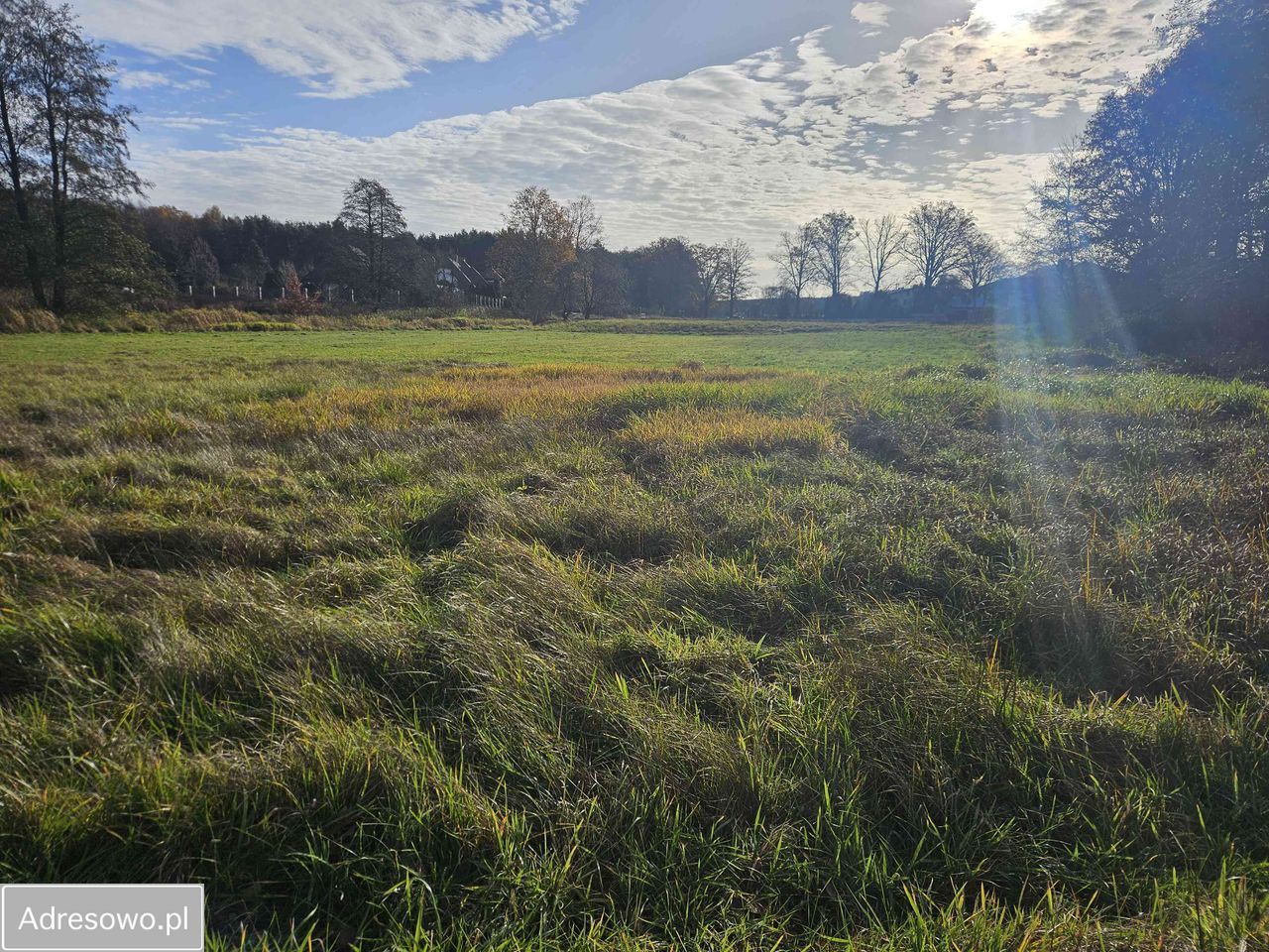 Działka rolno-budowlana Królewska Wola. Zdjęcie 12