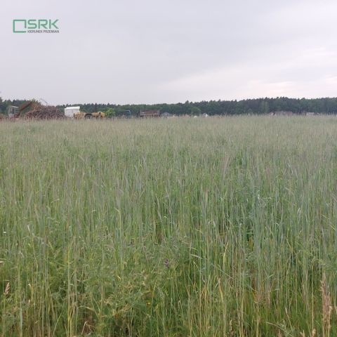 Działka inna Rudziczka, ul. Woszczycka. Zdjęcie 6