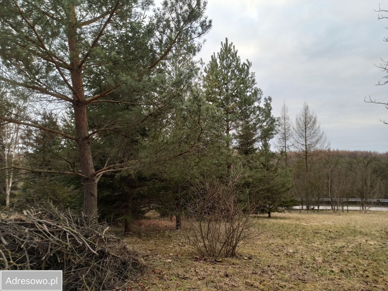 Działka budowlana Piołunka. Zdjęcie 6