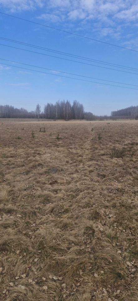 Działka rolna Zwierzyniec. Zdjęcie 6