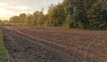 Działka na sprzedaż bez pośredników 
 
 ul. Ogrodowa 
 
 Pilchów Sandomierska - Widok 5