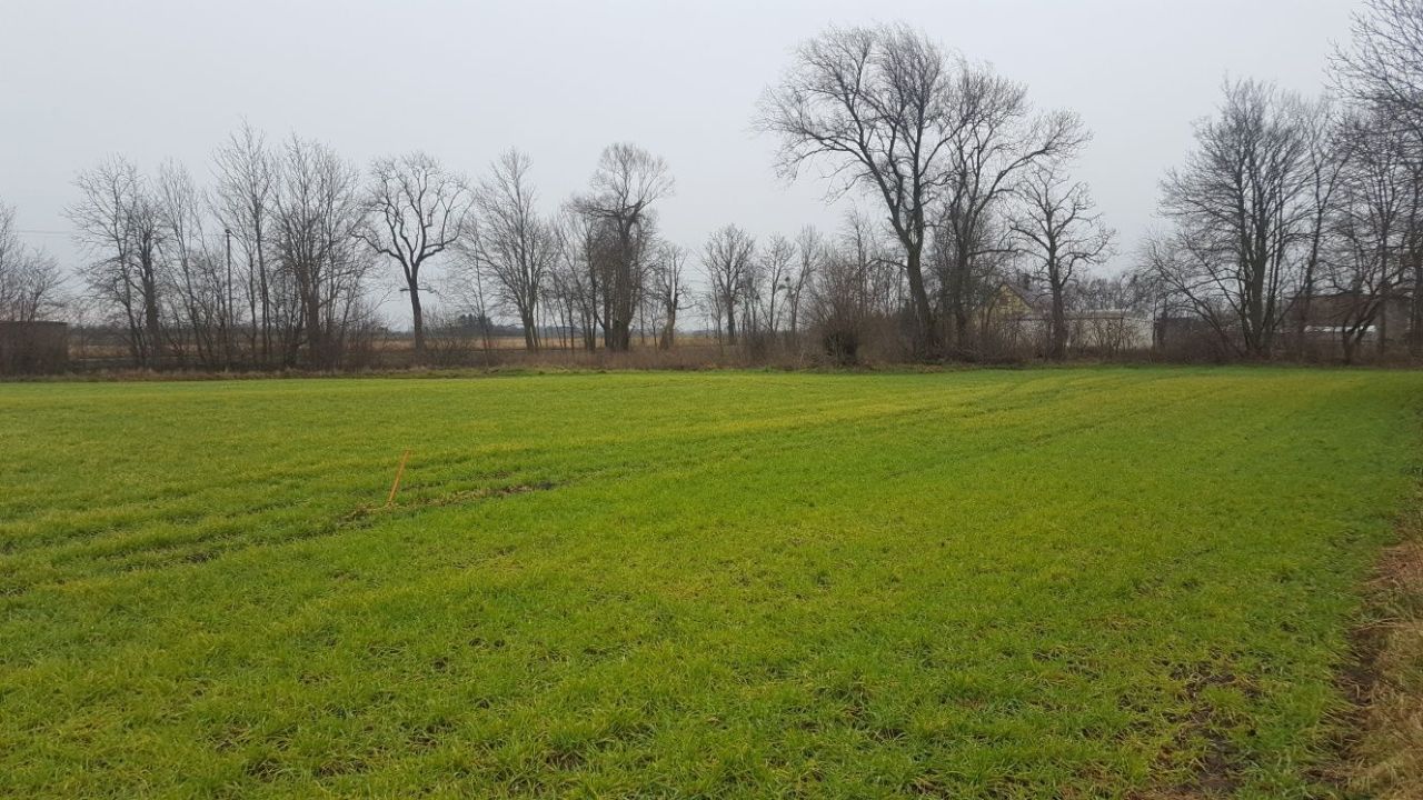 Działka budowlana Żydowo. Zdjęcie 6