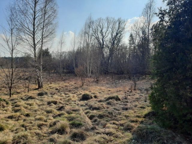 Działka budowlana Stawinoga, ul. Obrazkowa. Zdjęcie 1