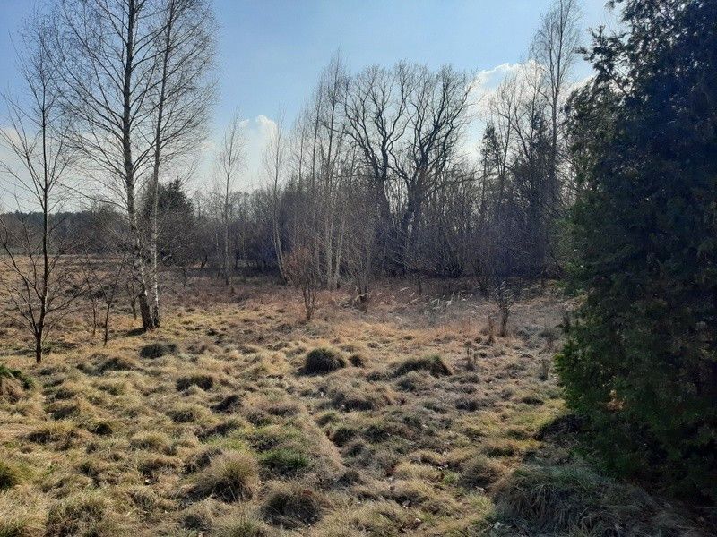 Działka budowlana Stawinoga, ul. Obrazkowa