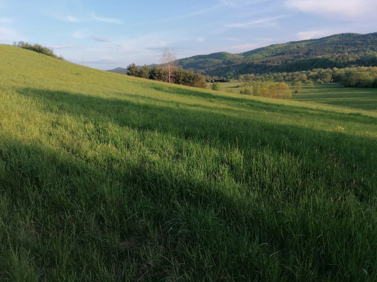 Działka rekreacyjna Rybotycze. Zdjęcie 29