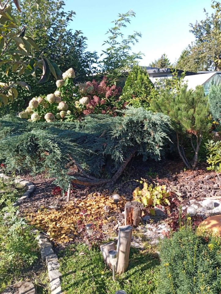 Działka rod Świętochłowice Lipiny. Zdjęcie 7