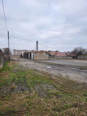 Hala/magazyn Miłosław. Zdjęcie 1