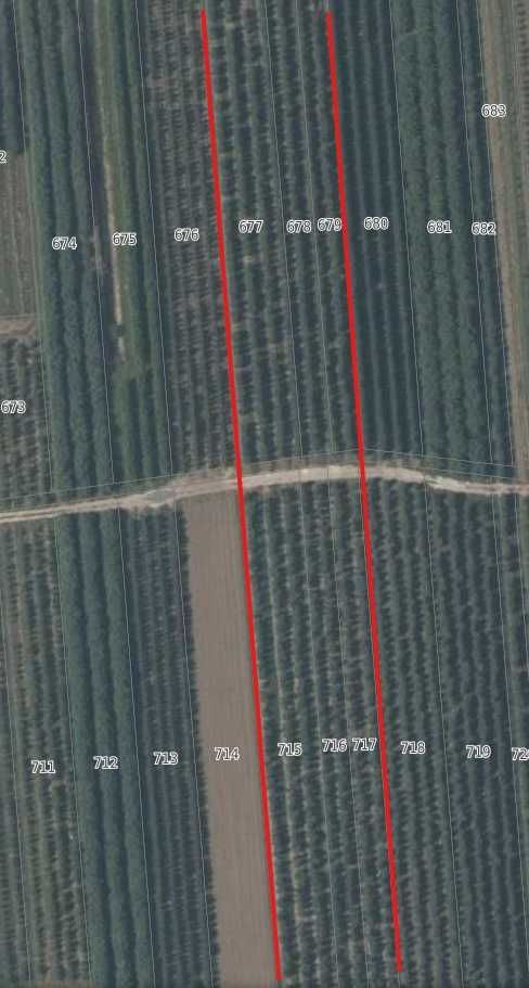 Działka rolna Zakrzów. Zdjęcie 1