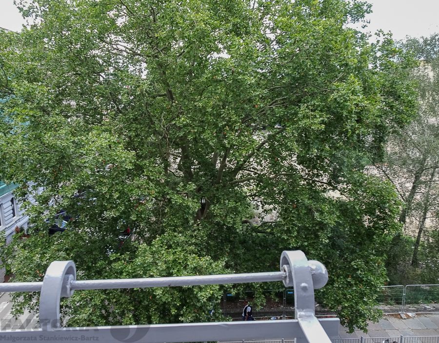 Mieszkanie 4-pokojowe Szczecin Centrum, ul. Edmunda Bałuki. Zdjęcie 28