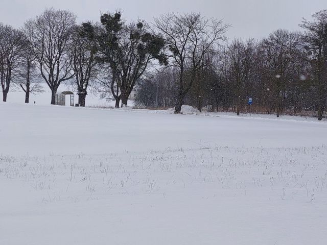 Działka siedliskowa Strzelce. Zdjęcie 7
