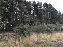 Działka budowlana Łagiewniki. Zdjęcie 1