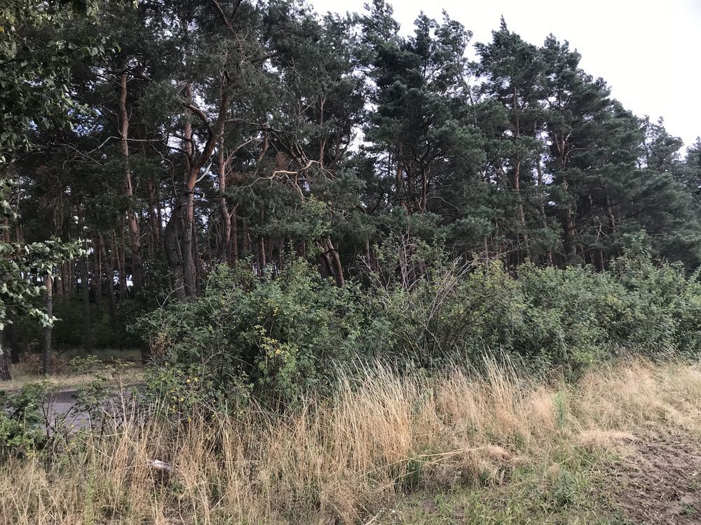 Działka budowlana Łagiewniki. Zdjęcie 2