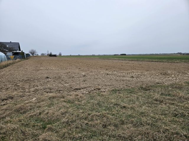 Działka rolno-budowlana Panieńszczyzna, Panieńszczyzna. Zdjęcie 1