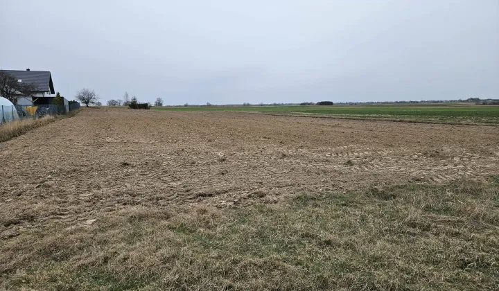 Działka rolno-budowlana Panieńszczyzna, Panieńszczyzna