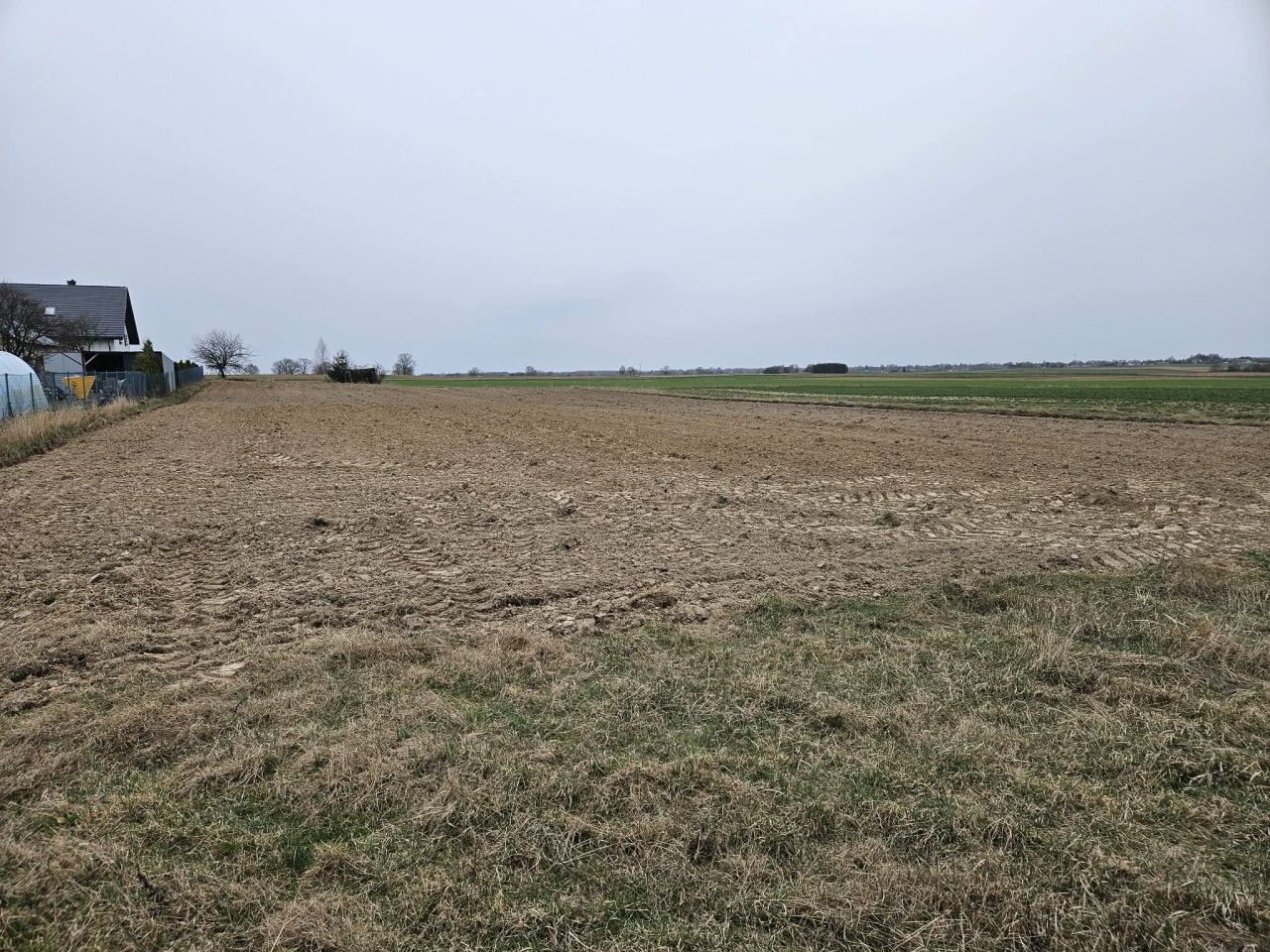 Działka rolno-budowlana Panieńszczyzna, Panieńszczyzna. Zdjęcie 1