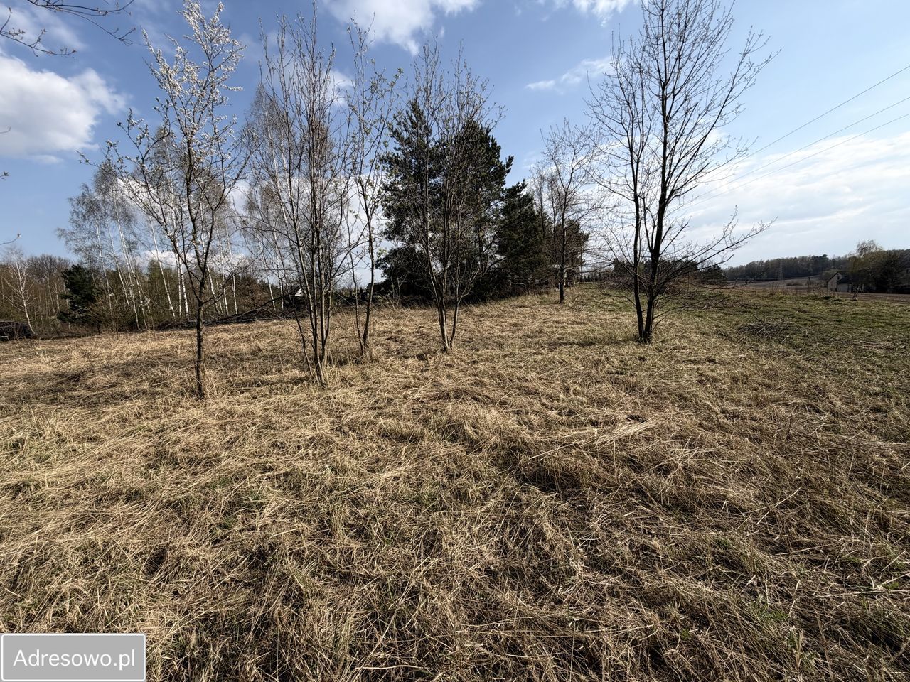 Działka budowlana Leonardów. Zdjęcie 3
