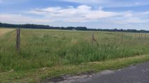 Działka rolno-budowlana Borki Wielkie, ul. Oleska. Zdjęcie 2