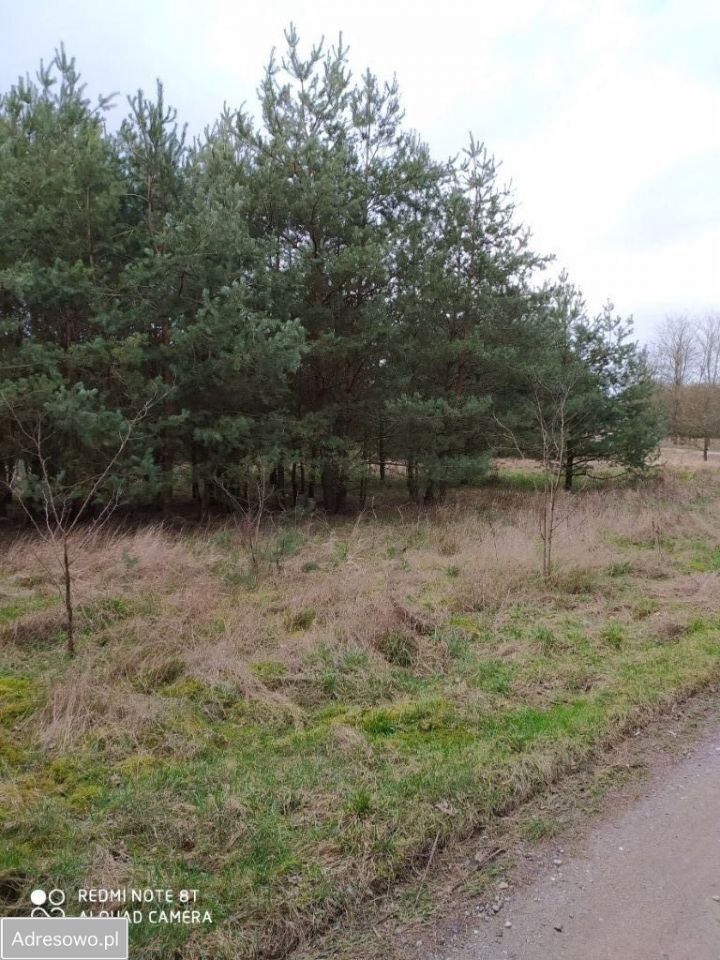 Działka siedliskowa Poręba. Zdjęcie 6