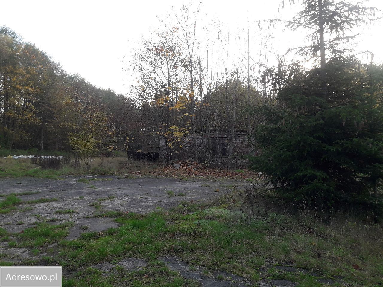 Działka inwestycyjna Poganice. Zdjęcie 4