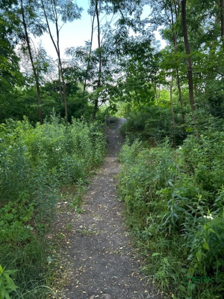 Działka inwestycyjna Mysłowice, ul. Bernarda Świerczyny. Zdjęcie 4