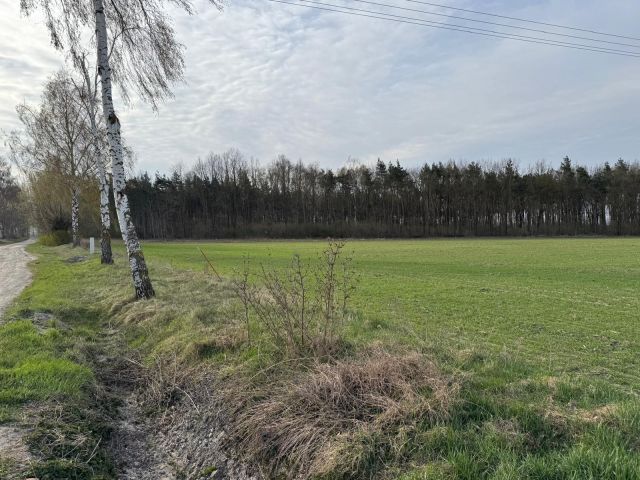 Działka budowlana Leszcze. Zdjęcie 1