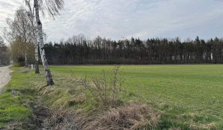 Działka budowlana Leszcze