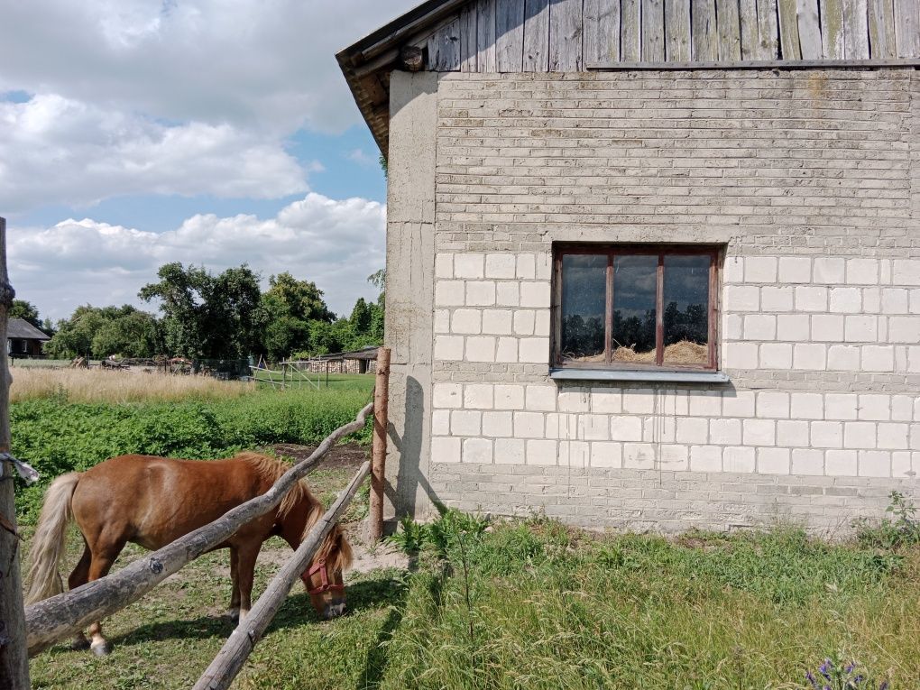 Działka siedliskowa Wantopol. Zdjęcie 4