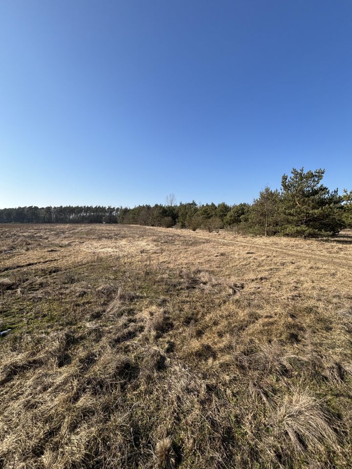 Działka budowlana Kiełczew Smużny Czwarty. Zdjęcie 5