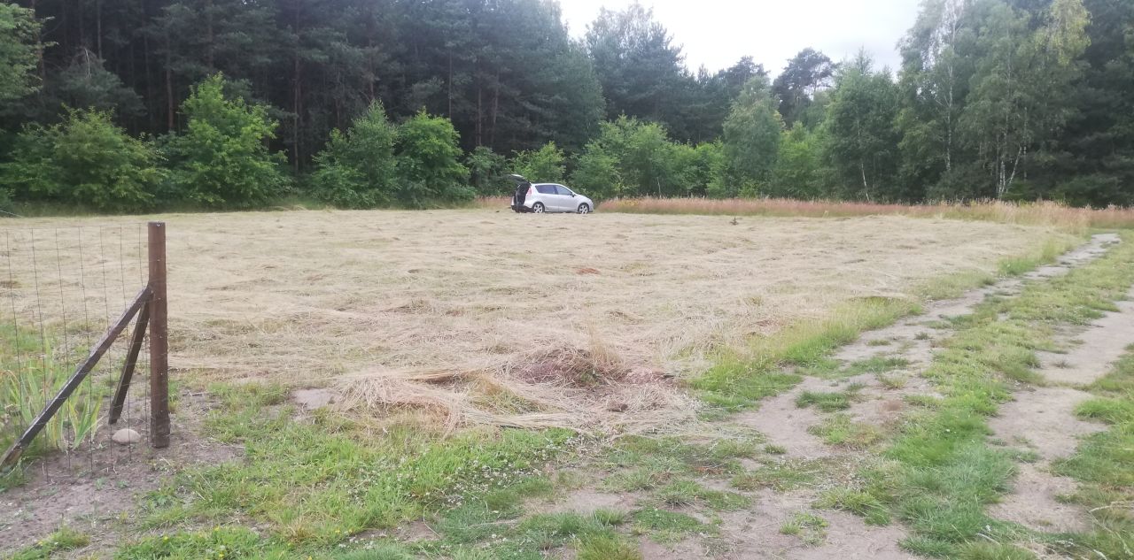 Działka rolno-budowlana Zasonie. Zdjęcie 2