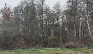 Działka rolna Bodzanów, ul. Głowackiego