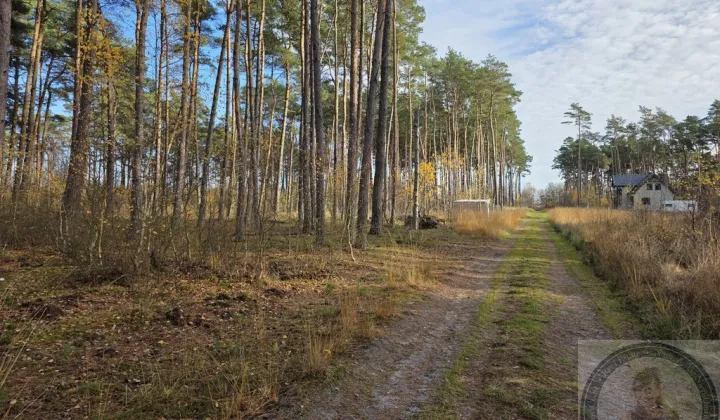 Działka budowlana Dziwnów