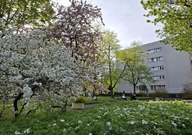 Mieszkanie 3-pokojowe Warszawa Bielany, ul. Wrzeciono. Zdjęcie 14