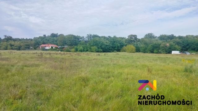 Działka rolno-budowlana Zabór, ul. Lipowa. Zdjęcie 1