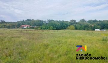 Działka rolno-budowlana Zabór, ul. Lipowa