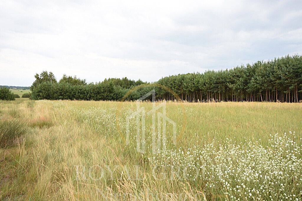 Działka siedliskowa Górka. Zdjęcie 7