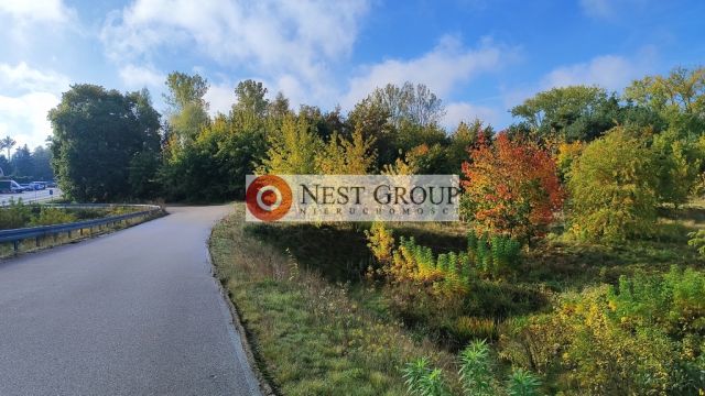 Działka inwestycyjna Wierzbica. Zdjęcie 16