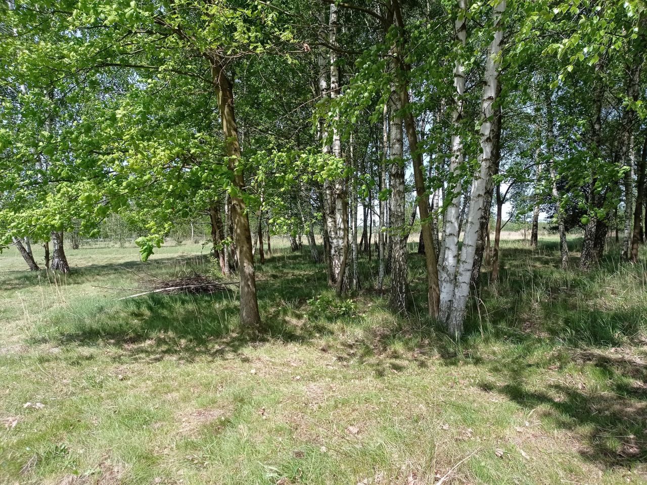 Działka budowlana Wola Brudnowska. Zdjęcie 11