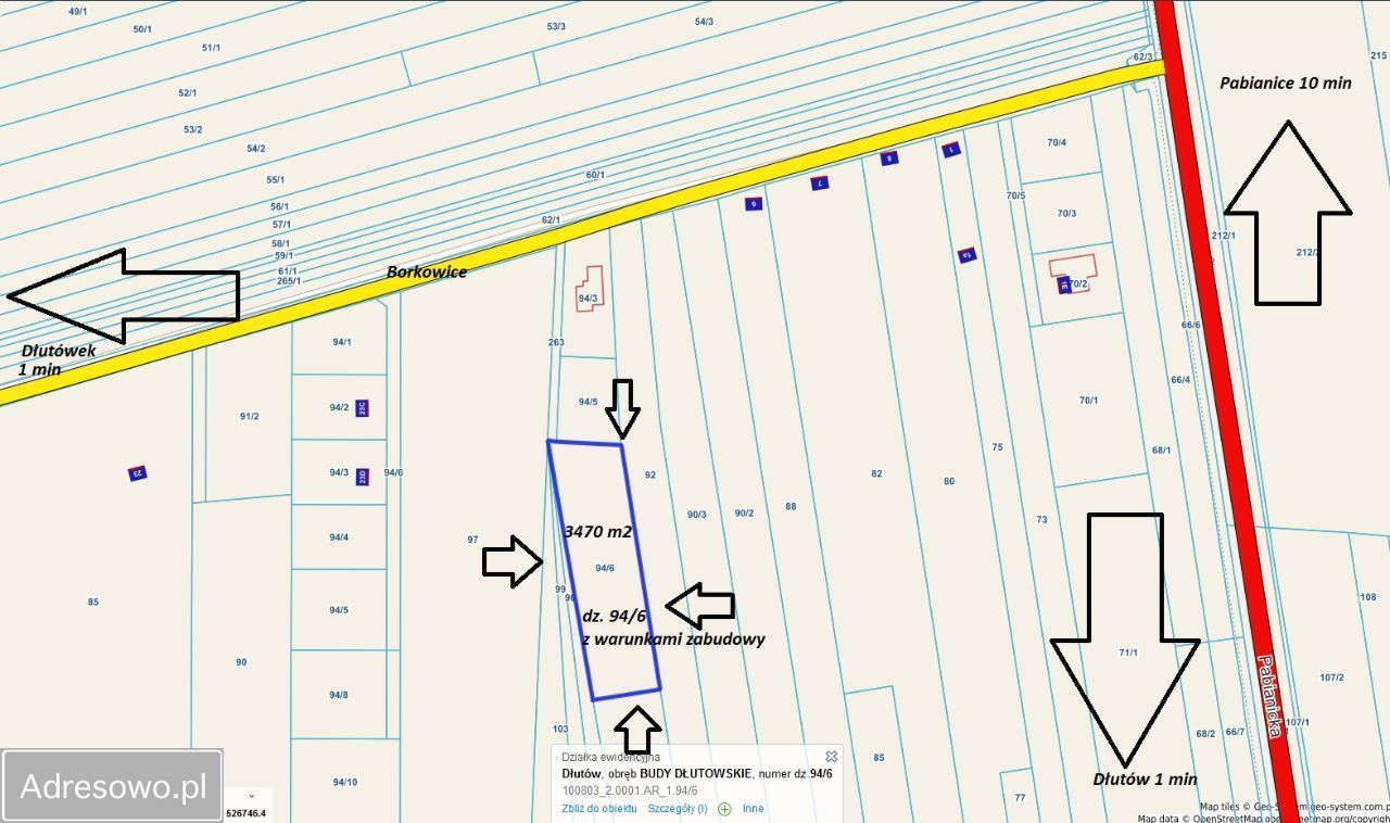 Działka rolno-budowlana Budy Dłutowskie. Zdjęcie 12