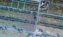 Działka budowlana Bibianna. Zdjęcie 2