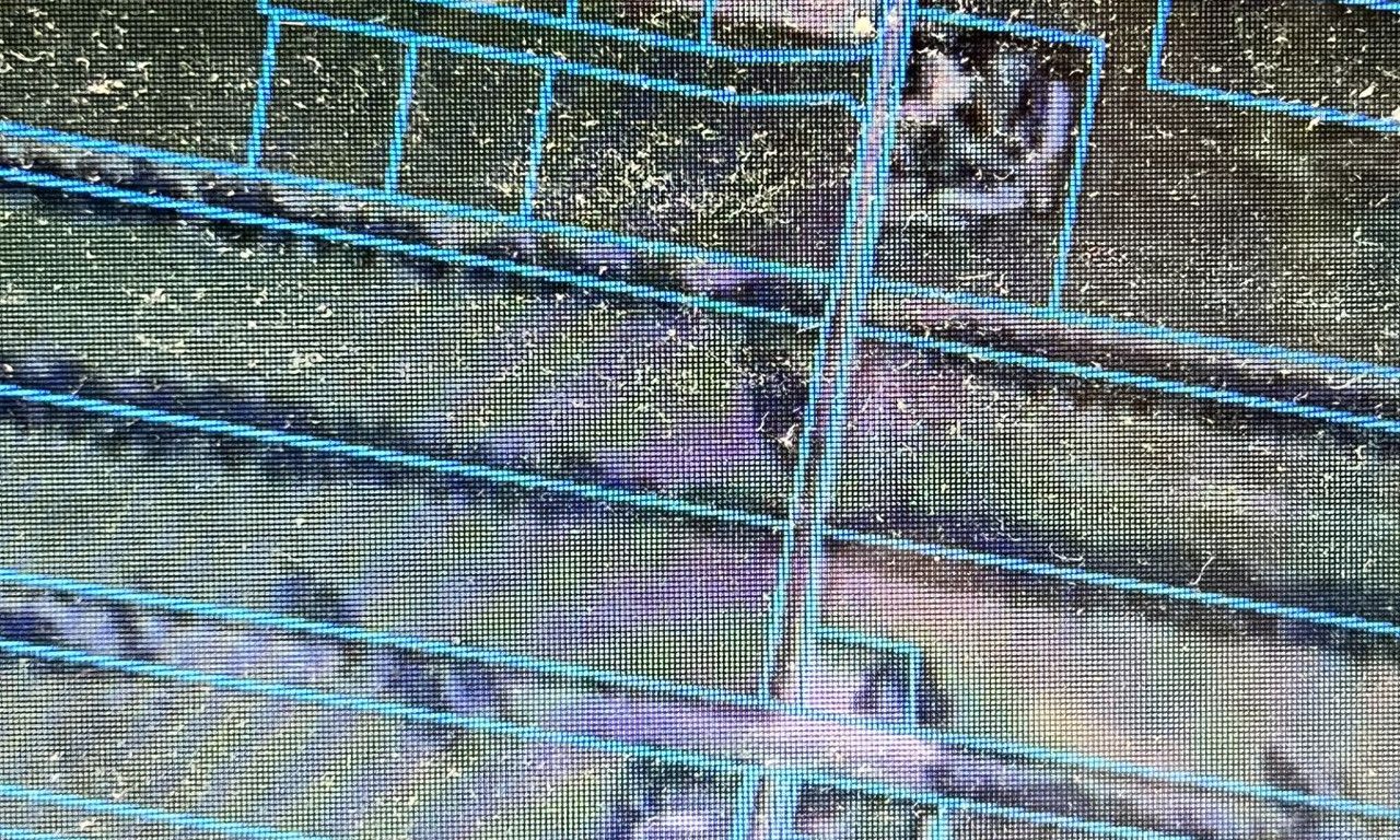 Działka budowlana Bibianna. Zdjęcie 3