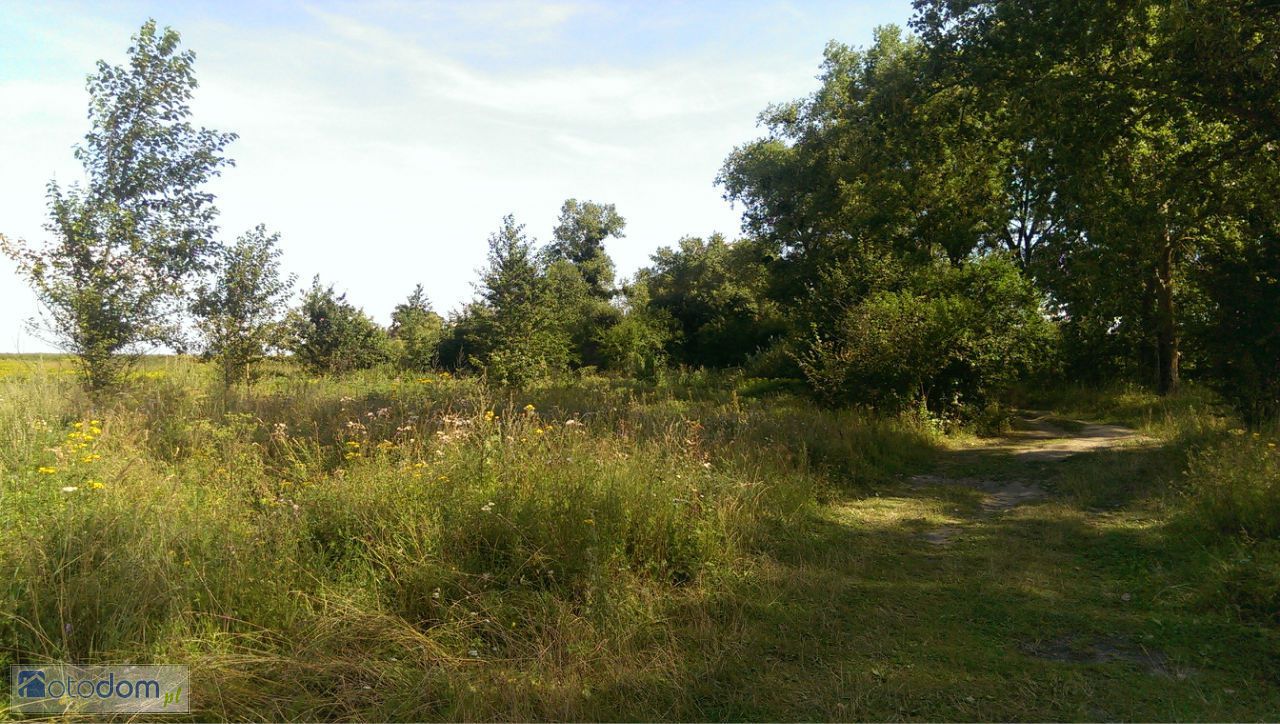 Działka rekreacyjna Kopanka Pierwsza. Zdjęcie 8